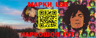 ГАЛЛЮЦИНОГЕННЫЕ ГРИБЫ Нальчик