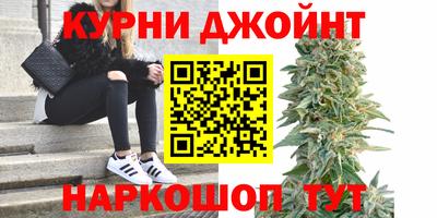 ГАЛЛЮЦИНОГЕННЫЕ ГРИБЫ Нальчик