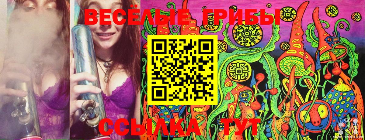 Галлюциногенные грибы Psilocybine cubensis  Галлюциногенные грибы GOLDEN TEACHER  Вход с VPN  Среднеуральск 